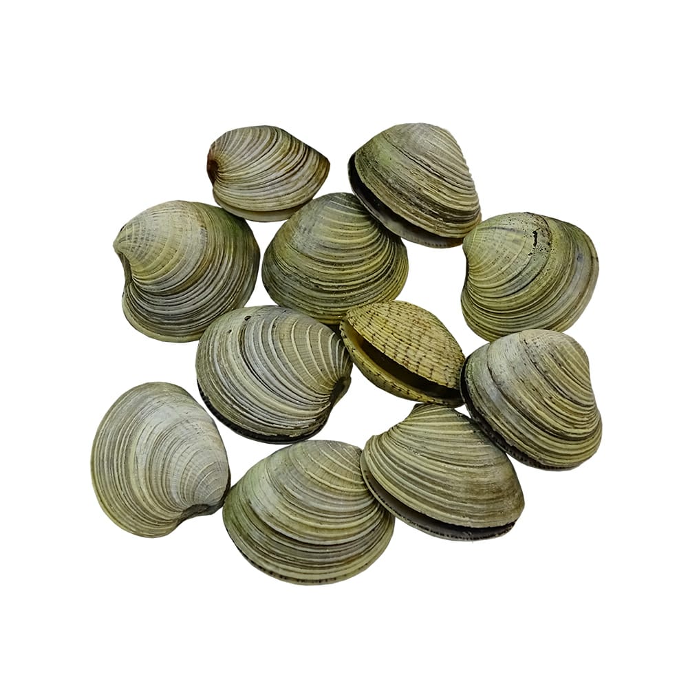 ALMEJAS 