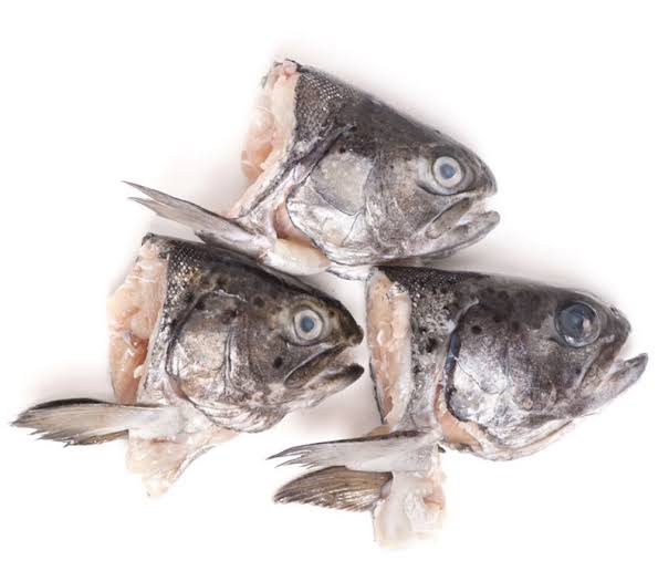 CABEZA DE PESCADO 