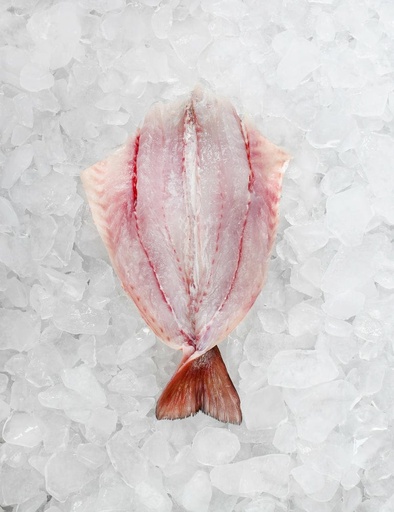 PARGO MARIPOSA 
