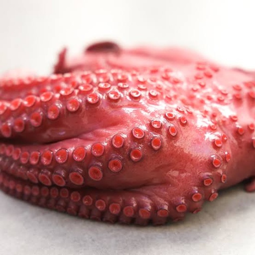 PULPO PRECOCIDO 
