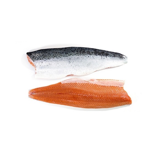 SALMON PUNTO AUSTRAL SALAR