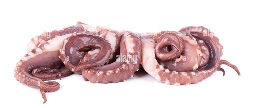 TENTACULO DE CALAMAR MORADO 
