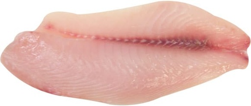 TILAPIA 5/7 100 POR CIENTO