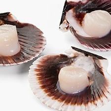 VIEYRA CHILENA 