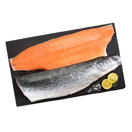 SALMON CH 