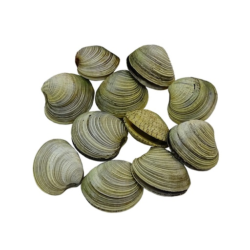 ALMEJAS 