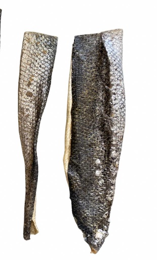 PIEL DE SALMON 