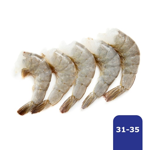 CAMARON 31/35