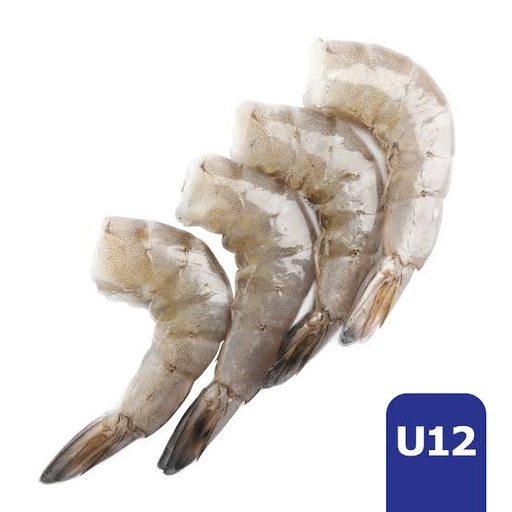 CAMARON U 12 