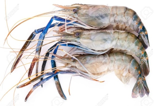 LANGOSTINOS 
