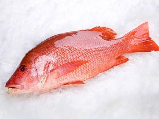 PARGO ENTERO ESPECIAL